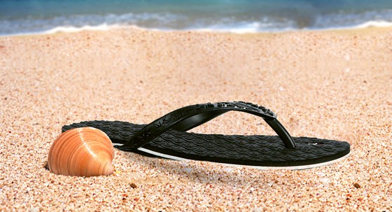 Иллюстрации: Rider