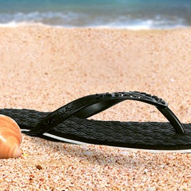 Иллюстрации: Rider